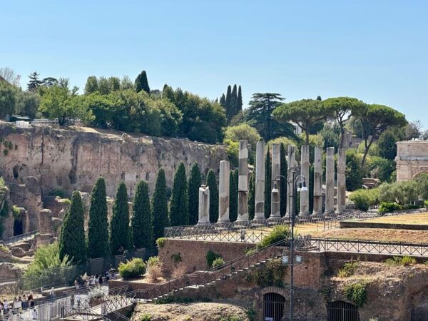 Colosseum Tour and Admission to Roman Forum & Palatine Hill - Booking and Cancellation Policy