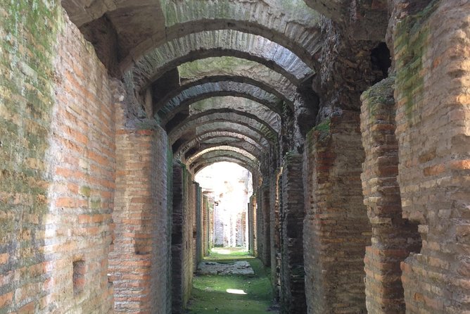 Colosseum Tour With Arena and Underground - Cancellation Policy and Customer Reviews