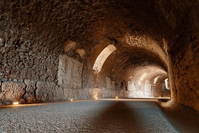 Colosseum Underground Private Tour With Palatine Hill and Roman Forum - Tour Highlights