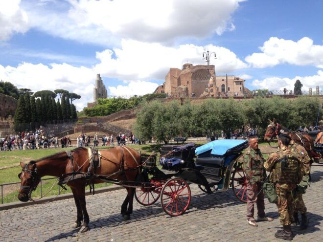 Colosseum With Arena Floor & Ancient Rome, Semi-Private Tour - Itinerary