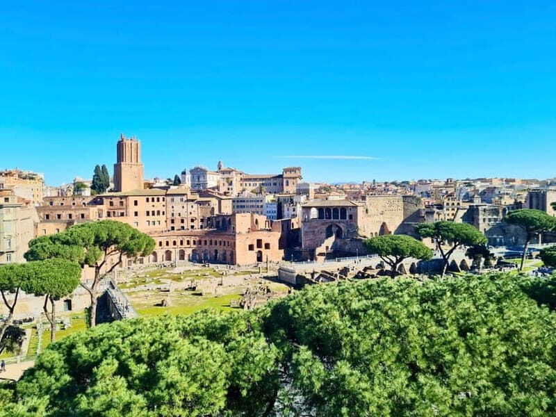 Colosseum with Arena, Roman Forum & Palatine Guided Tour - A Full Breakdown of the Experience