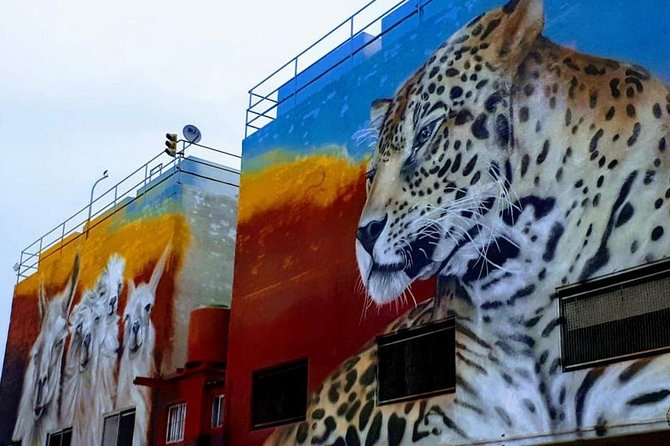 Colourful Buenos Aires (Urban Art Virtual Live Experience) - Directions