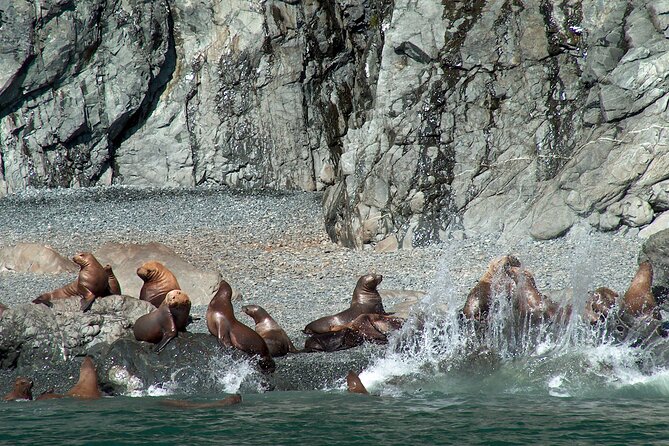 Columbia Glacier Cruise From Valdez - Cancellation Policy
