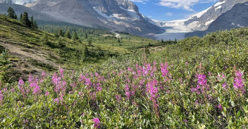 Columbia Icefield: Guided Glacier Hike - Pricing and Value: Is It Worth It?