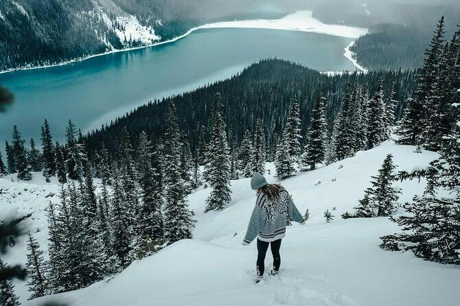 Columbia Icefield Parkway Peyto lake Bow lake Day Trip - Stop 2: Columbia Icefield Discovery Centre