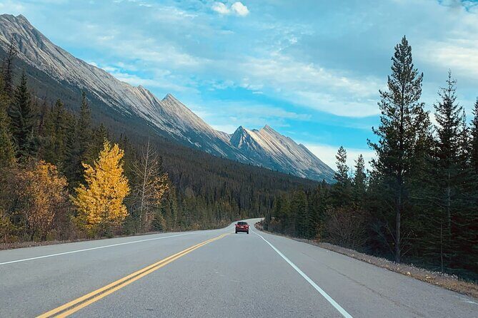 Columbia Icefield Parkway Peyto lake Bow lake Day Trip - End of the Day: Return to Calgary or Stay in Banff
