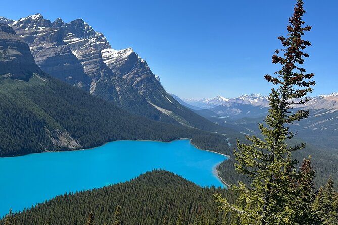 Columbia Icefield Peyto Lake Bow Lake from Calgary Canmore Banff - Who Is This Tour Best For?