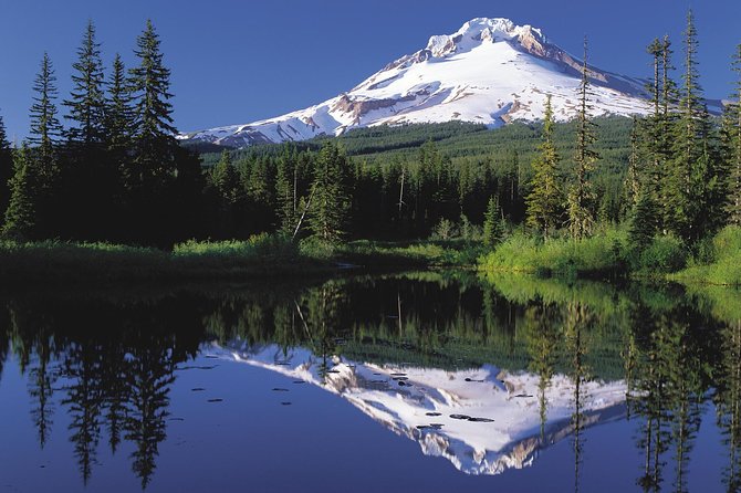 Columbia River Gorge Waterfalls & Mt Hood Tour From Portland, or - Tour Highlights and Reviews
