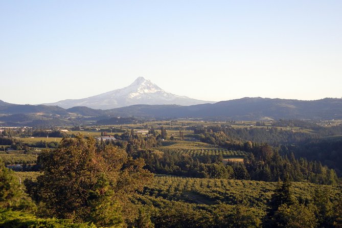 Columbia River Gorge Waterfalls & Mt Hood Tour From Portland, or - Pricing and Availability