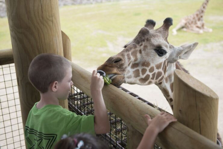 Columbus: Multiple Attractions Pass - Booking Information
