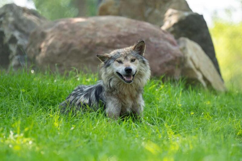 Columbus, OH: Columbus Zoo and Aquarium Entry Ticket - The Sum Up