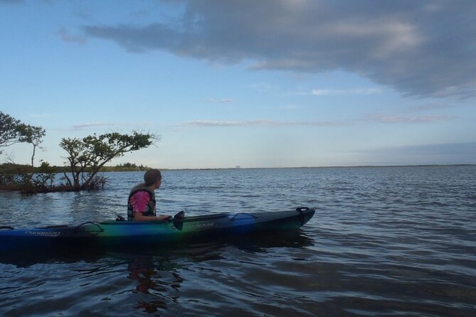 Comb Jelly Bioluminescence Kayak Tour - Booking and Contact Information