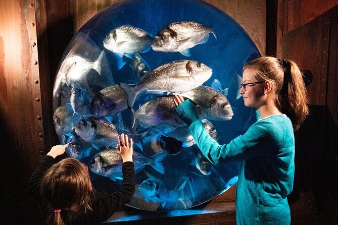 Combi Ticket: Madame Tussauds & SEA LIFE Berlin - Combo Ticket Details