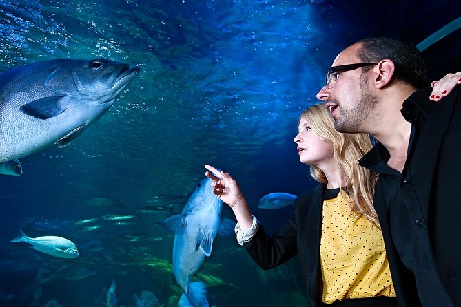 Combi Ticket: Madame Tussauds & SEA LIFE Berlin - Traveler Photos