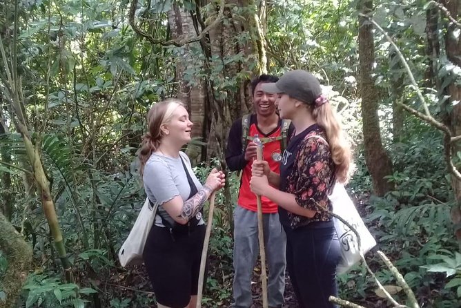 Combine of Tamblingan Waterfall and Twin Lake Tour - Tour Highlights