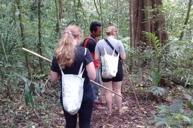 Combine of Tamblingan Waterfall and Twin Lake Tour - Itinerary Overview