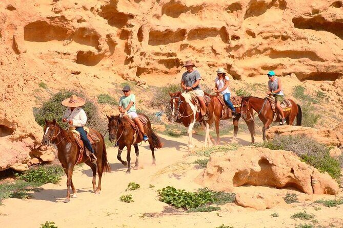 Combined ATV and Horseback Ride/Tequila Tasting - What to Expect from This Cabo Adventure