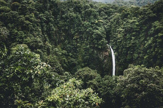 Combined Tour (Hanging Bridges, La Fortuna Waterfall, Arenal Volcano) - Tour Highlights