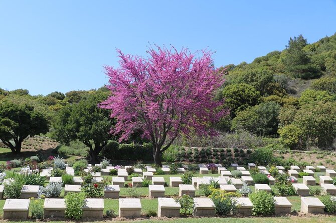 Combined Troy and Gallipoli Tour From Canakkale With Onwards Transfer to Istanbul - Transportation and Logistics