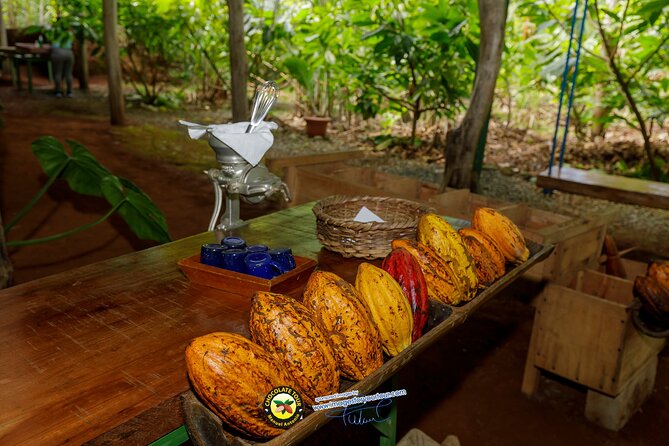 Combo 3: Manuel Antonio Park Tour & Chocolate Tour - Itinerary Overview