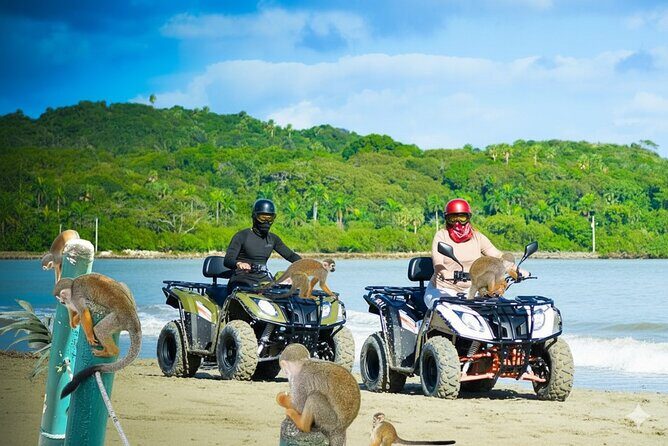 Combo: Adventure in ATV and Monkeys - Good To Know