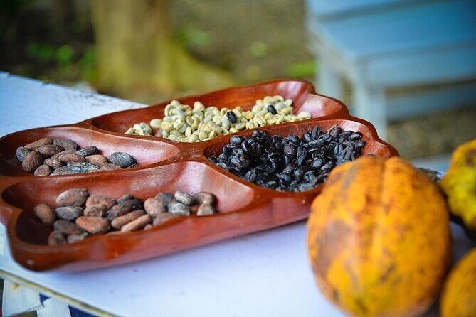 Combo: Adventure in ATV and Monkeys - Why This Tour Works