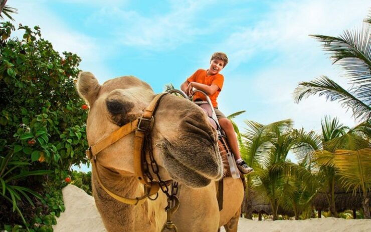 Combo Adventure: Parasailing and Camel Caravan in Maroma - Activity Details