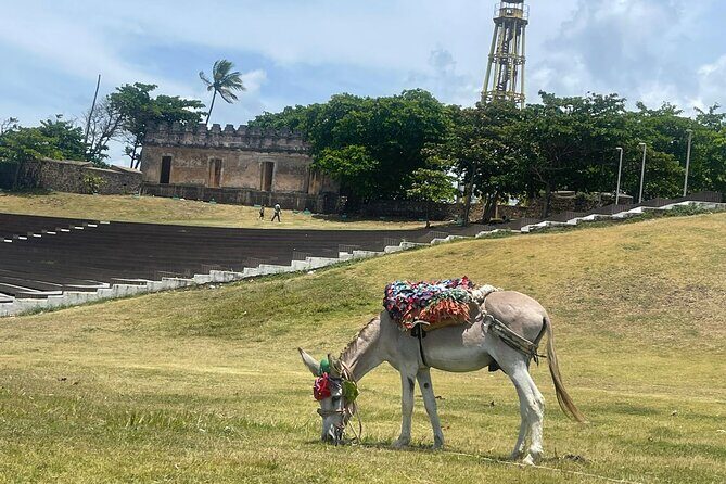Combo : ATV Adventure with City Tour in Puerto Plata - Off-road ATV Adventure in the Countryside