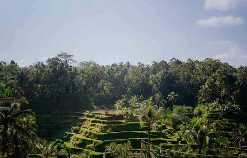 Combo ATV, River Rafting, Tubing and Optional Activities - Should you book it?