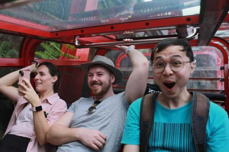 Combo: Blue Mountain Tour + Sydney Hop-on-Hop-off Bus Ticket - A Deep Dive into the Blue Mountains & Sydney Combo Tour