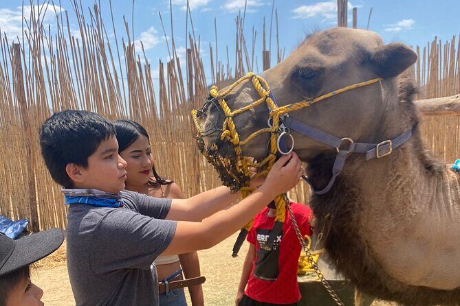 Combo Camelback Safari and ATV Ride Combo Tour Adventure - Good To Know