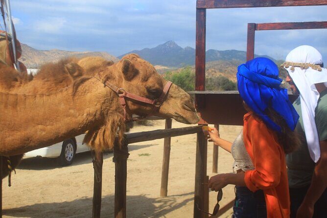 Combo Camelback Safari and ATV Ride Combo Tour Adventure - Frequently Asked Questions