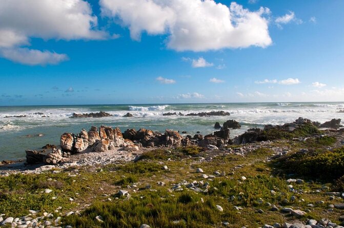 Combo Cape Agulhas Tour and Whales Watching Boat in Hermanus - Tour Pricing and Booking Information