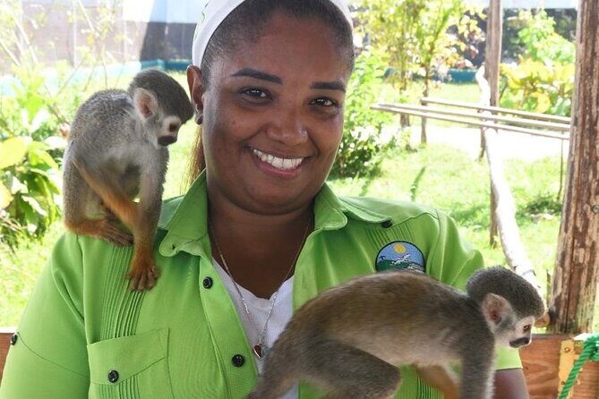 Combo : Damajagua and Monkey Sanctuary with Typical Lunch - Who Will Love This Experience?