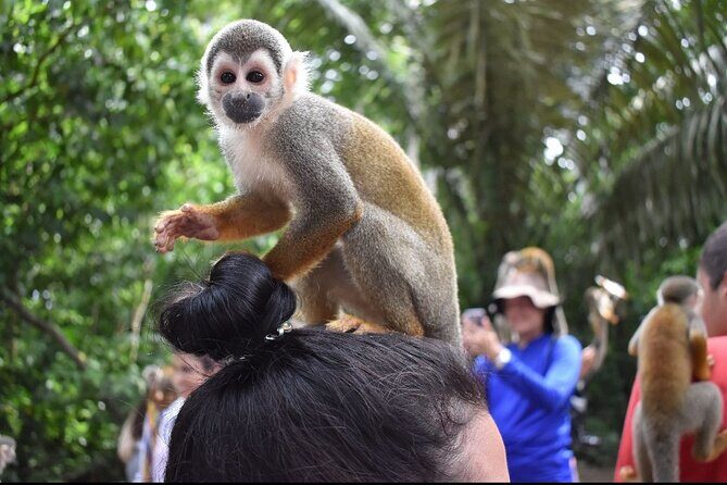 Combo : Damajagua and Monkey Sanctuary with Typical Lunch - FAQ