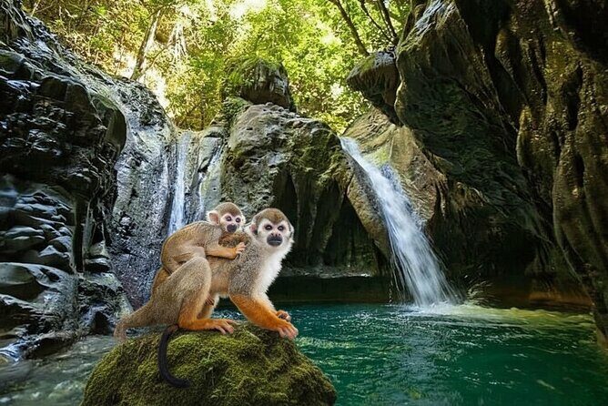 Combo : Damajagua and Monkeys Group Tour in Puerto Plata - Good To Know