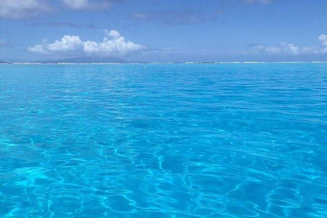 Combo Diving and Snorkeling Half-Day Tour - What You Can Expect from the Itinerary  