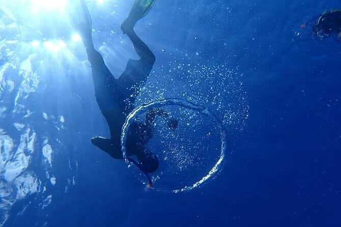 Combo Diving and Snorkeling Half-Day Tour - The Sum Up  