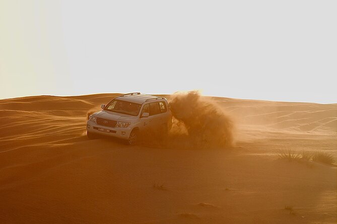Combo Doha City Tour and Desert Safari - Customer Reviews