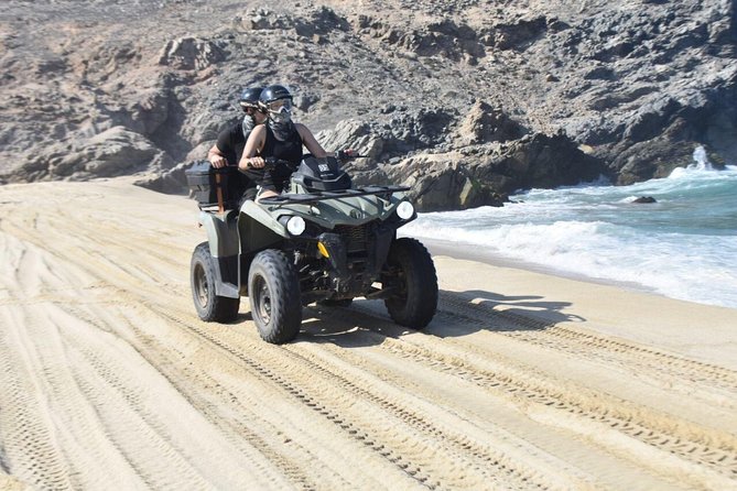 Combo Double Atv Horses - Safety Guidelines