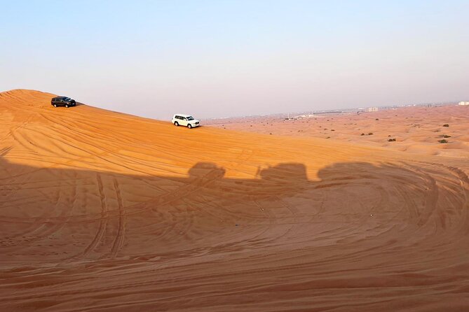Combo Dubai City Tour and Desert Safari - Customer Reviews and Recommendations
