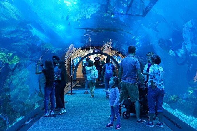 Combo Dubai Mall Aquarium Skyview Observatory Tickets - Overview and Location
