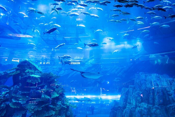 Combo Dubai Mall Aquarium Skyview Observatory Tickets - Additional Information