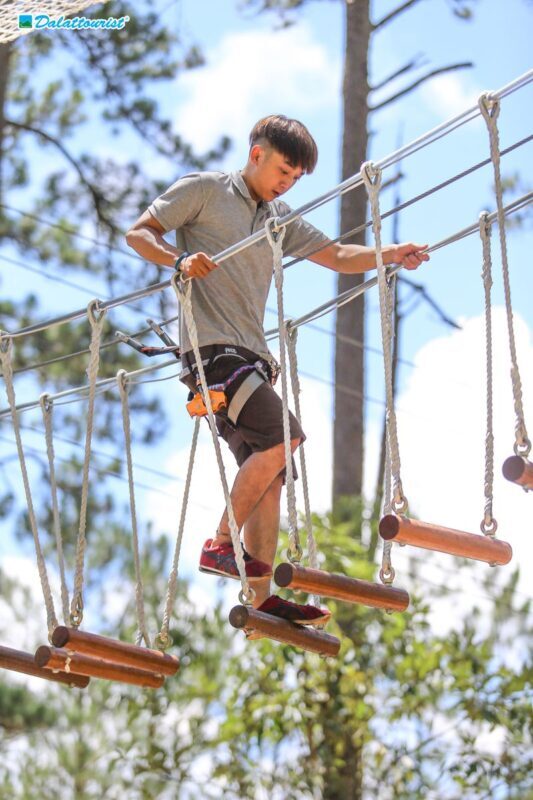 Combo High Rope Course Adventure and Datanla New Alpine Coaster Experience in Da Lat - Start with the ropes among the pines