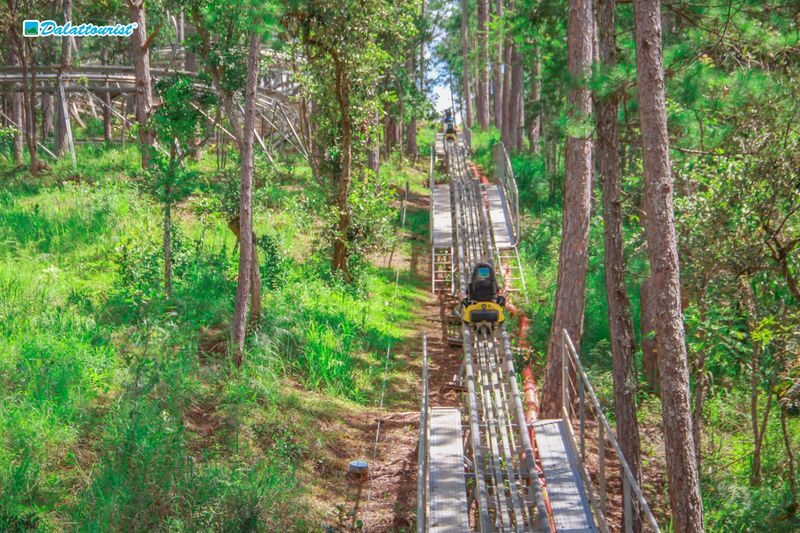Combo High Rope Course Adventure and Datanla New Alpine Coaster Experience in Da Lat - Short ziplines are part of the ropes course