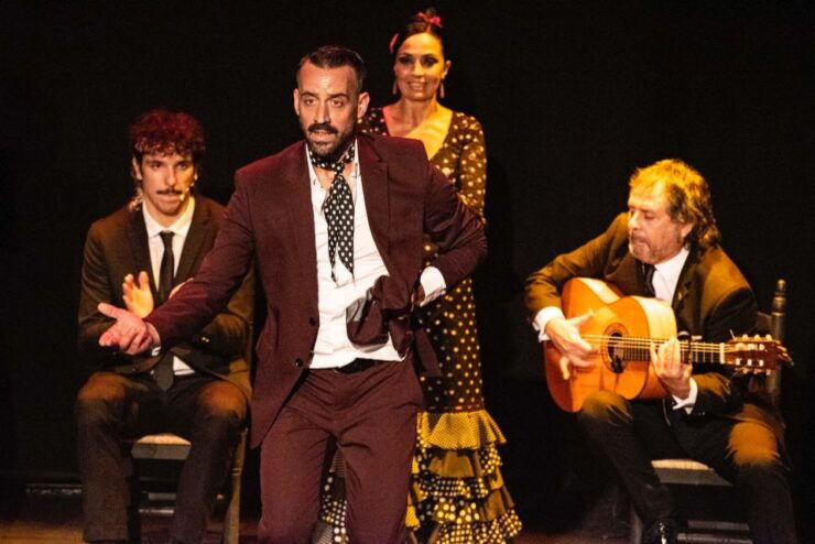 Combo: Hop on Hop off Flamenco Show & Walking Tours - Booking Information