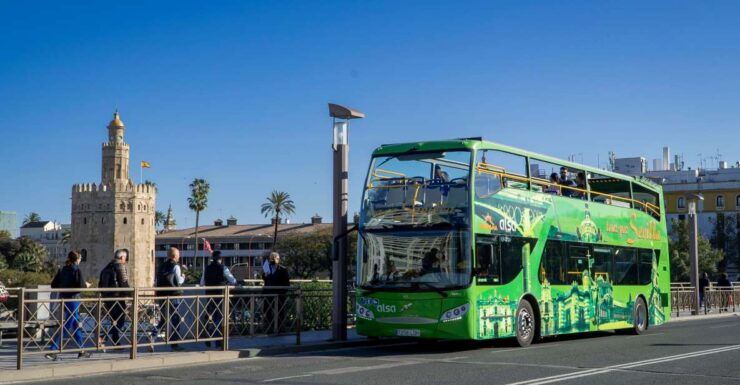 Combo: Hop on Hop off Flamenco Show & Walking Tours - Activity Details