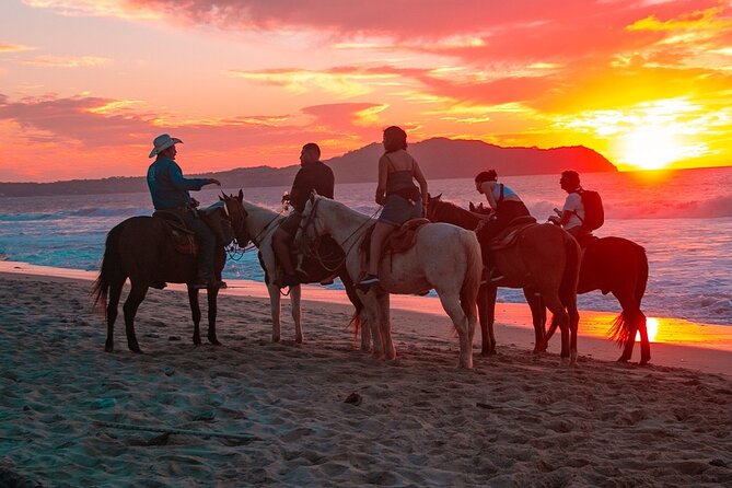 Combo Horseback Beach Ride & ATV Adventure in Los Cabos - Positive Feedback From Travelers