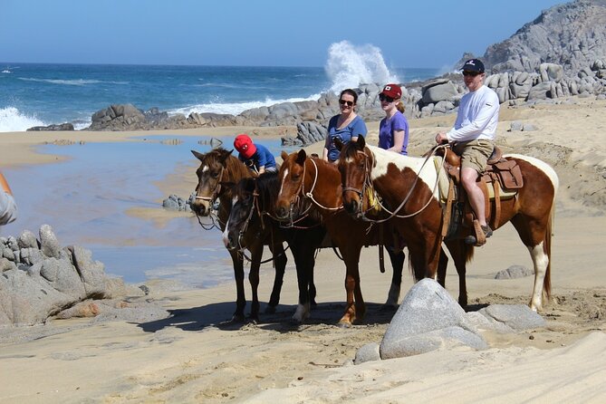 Combo Horseback Beach Ride & ATV Adventure in Los Cabos - Recommendations and The Sum Up