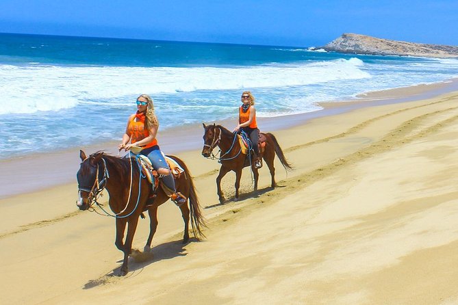 COMBO Horseback Riding & UTV Tour - Pricing and Guarantee